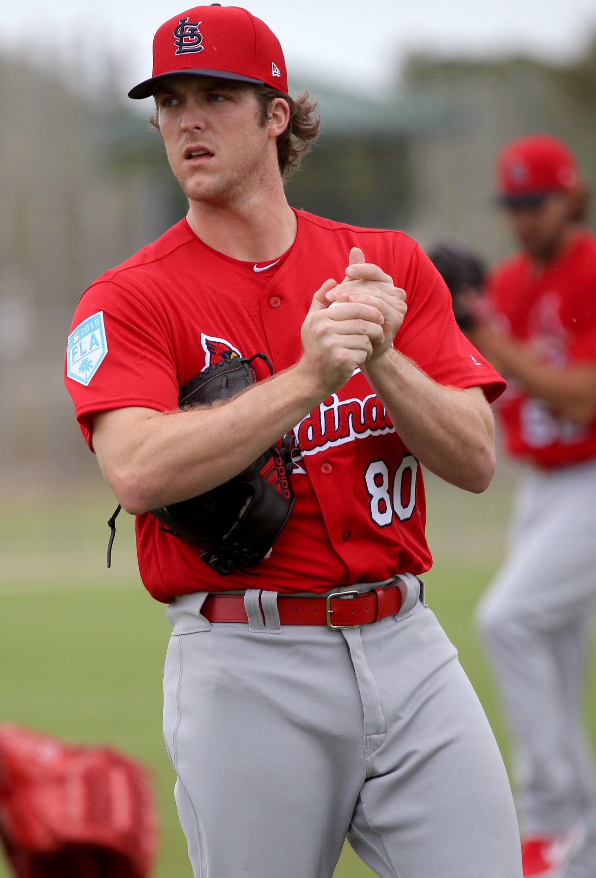 Cardinals spring training